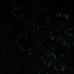 P1000097