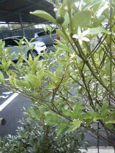 201008191704000
