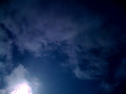 photo(7)