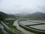 茅の台　煙雨