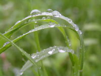 梅雨