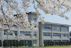 桃映中学校