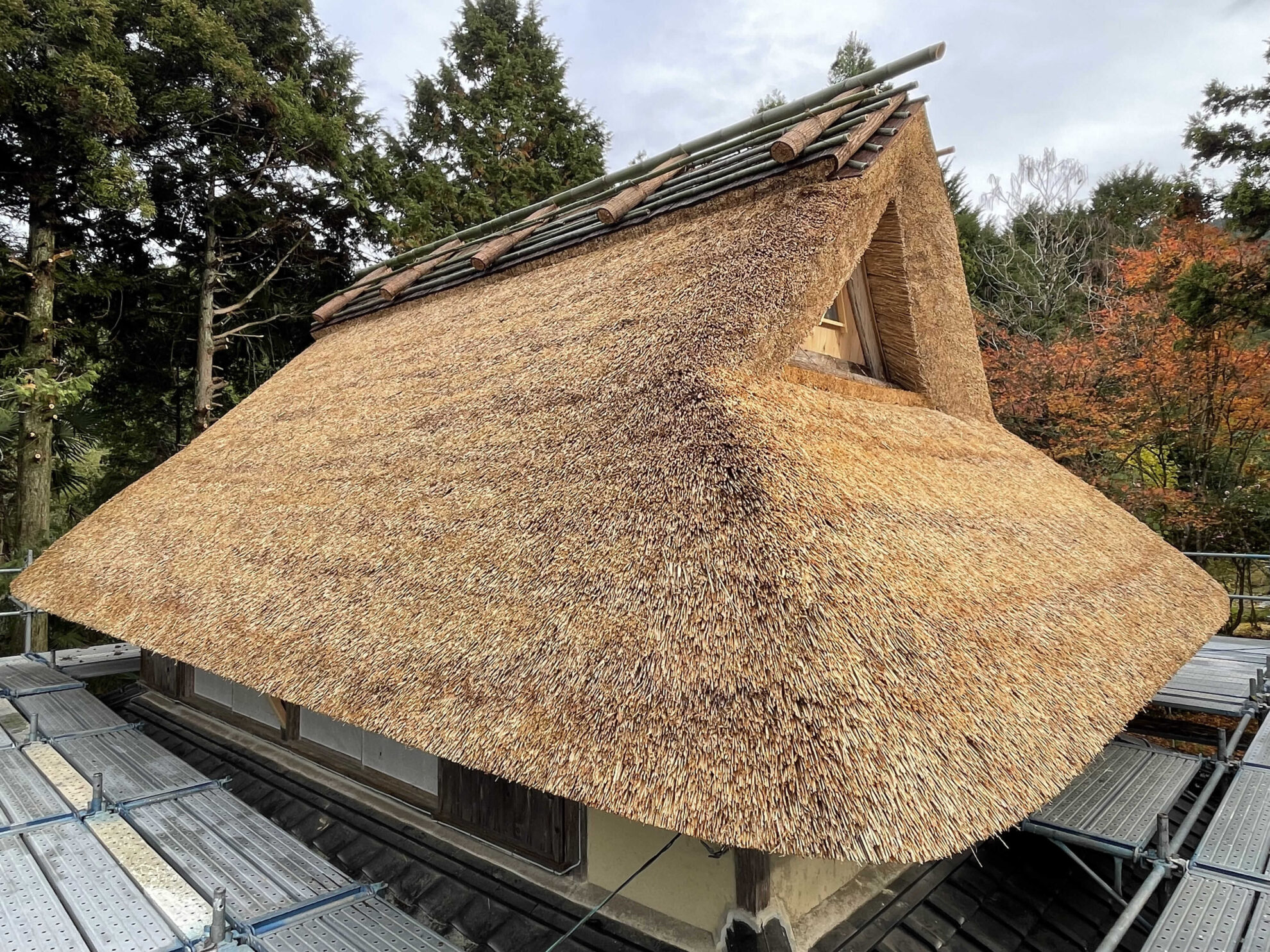 茅葺き の 屋根