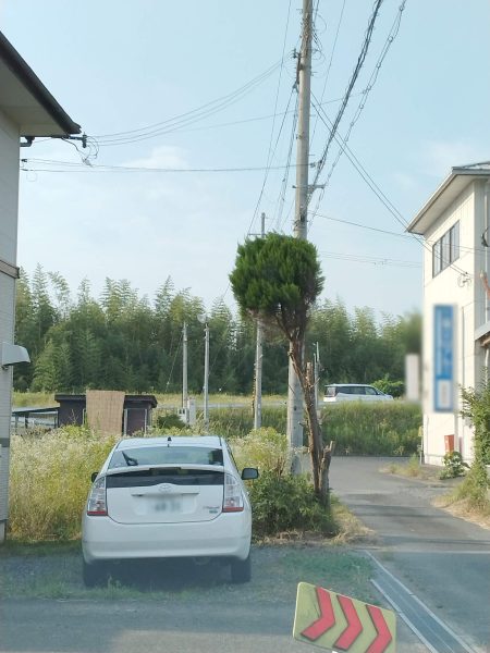綾部市｜木の伐採もお任せください