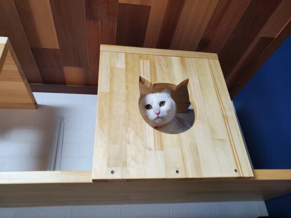 猫ちゃんのお部屋をきれいに可愛くリフォーム　キャットハウス
